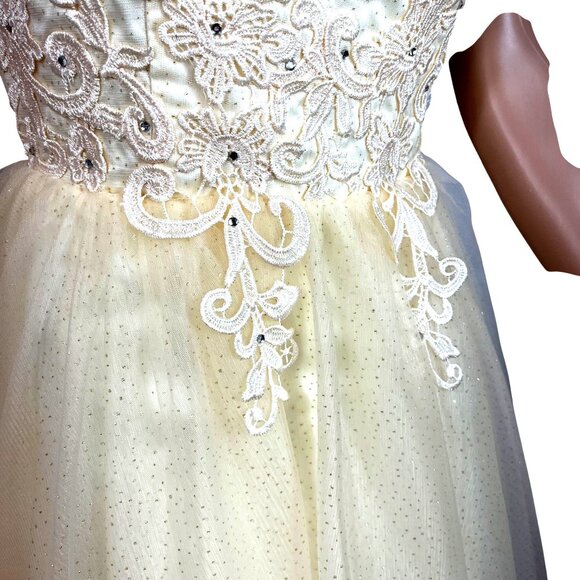 Ivory & Cream Lace & Tulle Short Dress With Rhinestone Accents Size 8 Elegant NW - Picture 10 of 13